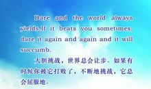 安慰表白失败人的名言