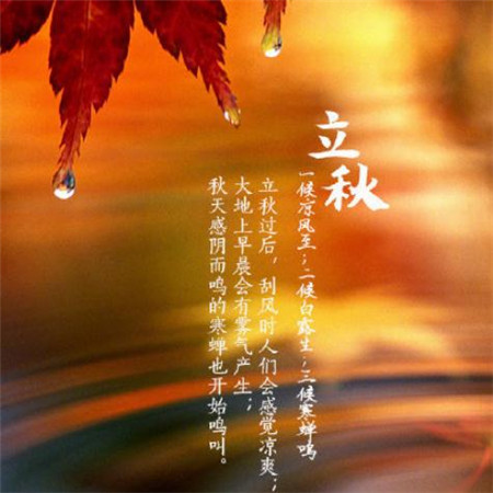 审美文学的祝福