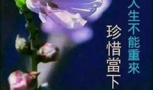 独特的早安祝福语