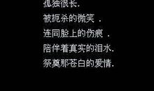 繁华的城市孤独的句子