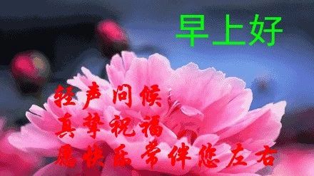 越来越多的问候