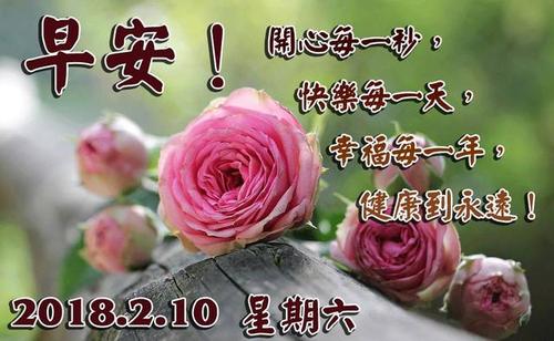 温暖的早晨的祝福