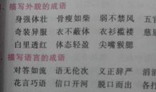 描写动作的词语和句子