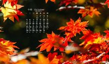 梧桐树的拟人句