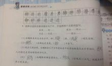 用不是而是造句子