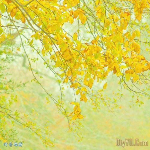 一整套秋天的隐喻