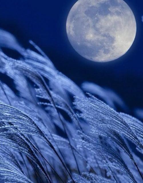 描写明亮月光的诗