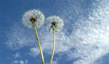 跌下去是耻辱，站起来是尊严