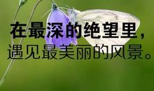 佛教语录人生哲理