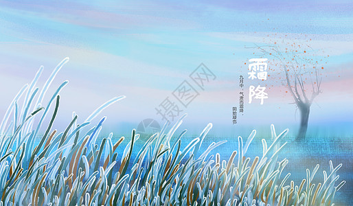 谚语指出了方向