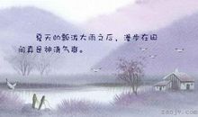 暴雨后句子