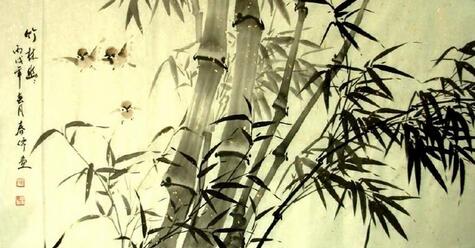 在竹林里种松树