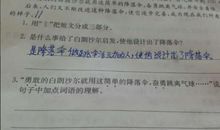 有动作词语的句子