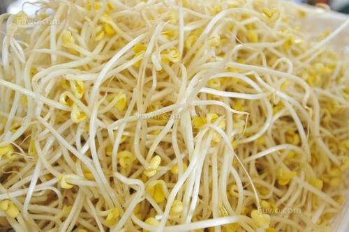 买没有鳞的豆芽