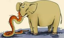 歇后语蛇吞象