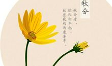 二十四节气谚语秋分