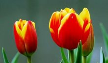 周末愉快励志祝福语