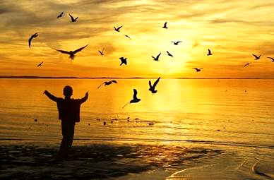 丰富现代生活哲学的句子或段落[精选39句]