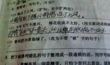 写梨花的比喻句