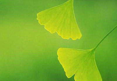 生命中是否会有足够的乌云创造美丽的日落