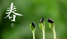 描写绿色的谚语