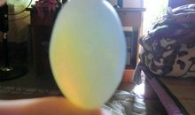 鸡蛋碰石头的歇后语