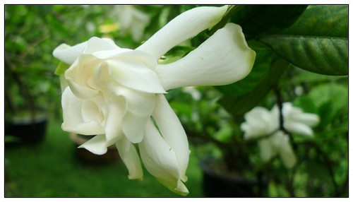 最令人安慰的话