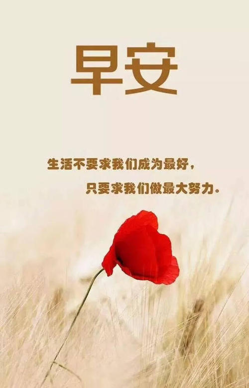 早晨祝福正能量