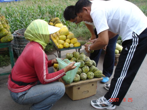 第二小卖哈密瓜过敏