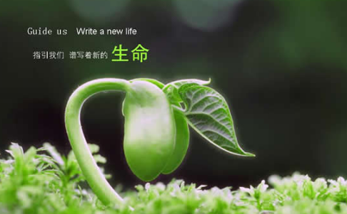 关于绿色的英语谚语