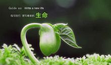 关于绿色的英文谚语