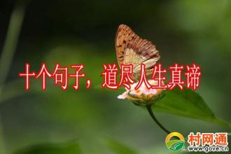 生活的真meaning