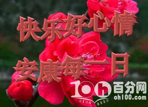 向领导发送祝福信息