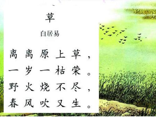 关于帮助他人的二年级谚语