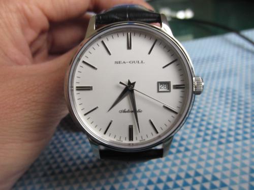 海鸥的寓言句子