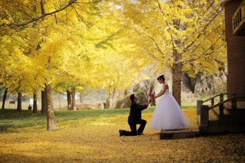 描述刺槐的比喻句