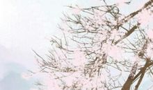 有关秋分的谚语