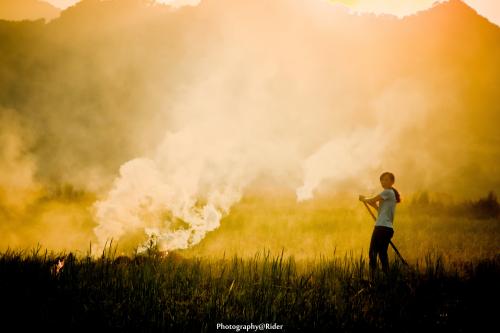 忙农的谚语是什么