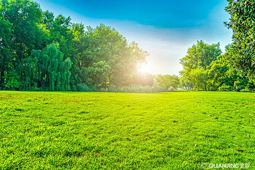 真正的绿草的寓言句子