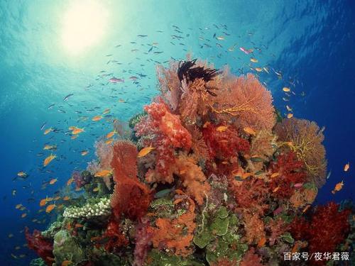 工作中的悲伤句子