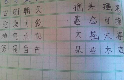 可以造一个句子