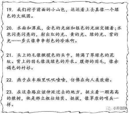 描述板球拟人化的句子