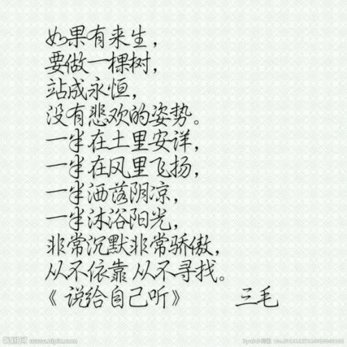 感动的爱情句子