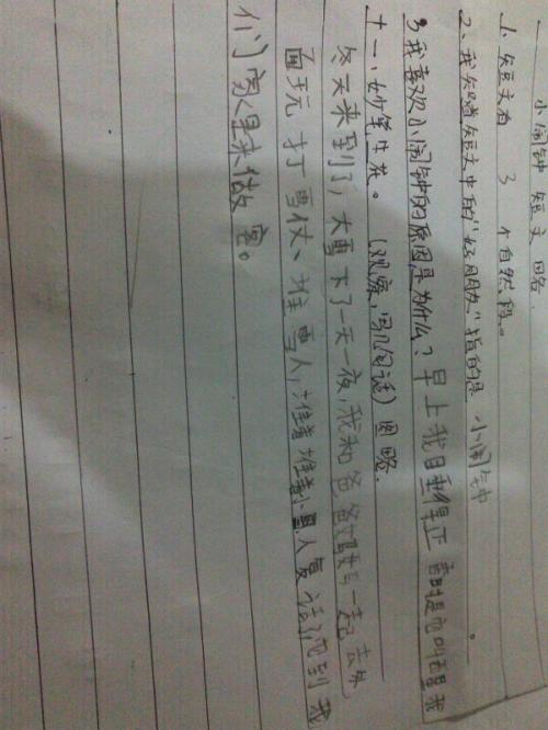 石榴花写拟人化的句子