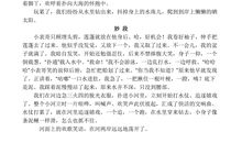 初二好词好句摘抄大全