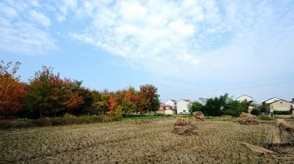 关于秋冬季节的天气谚语