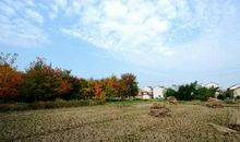 关于秋天和冬天的气象谚语