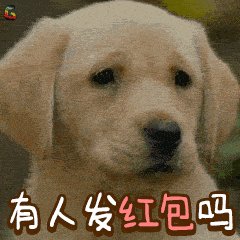 狗年祝福语