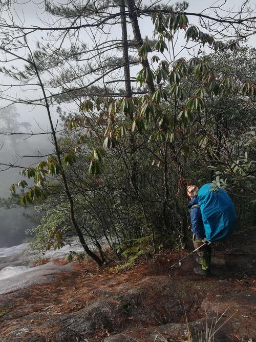 告别古老，迎接新年2019