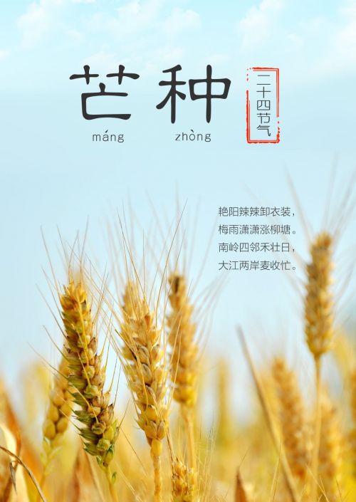 关于卫生保健的谚语